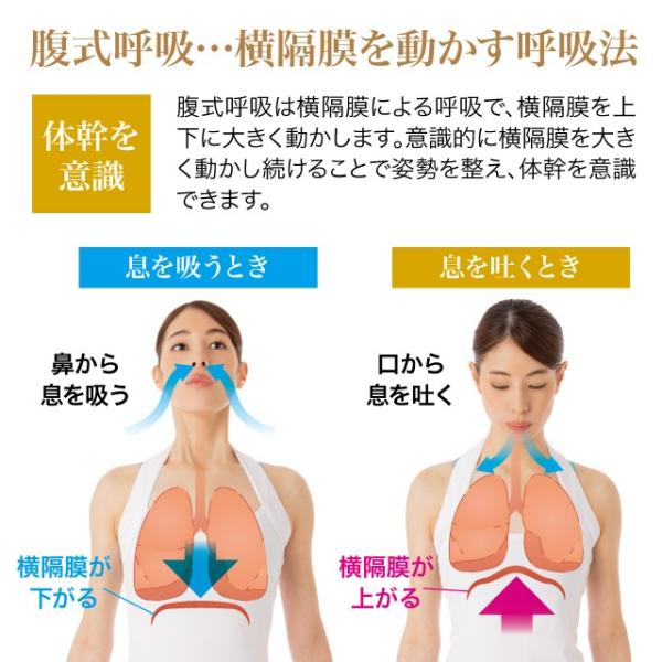 肺活トレーナー 呼吸筋 横隔膜を刺激 呼吸法 肺活量 誤嚥対策 声量不足 持久力 鍛える トレーニング レベル調節 ポイント消化 0 2 アイデア Info 通販 Yahoo ショッピング
