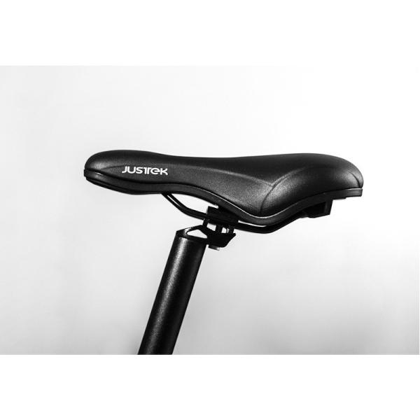 電動自転車 折りたたみ 電動アシスト自転車 自転車 軽量 安い フル電動 