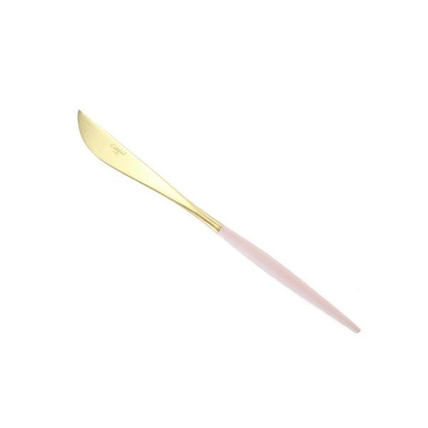 Jg[ fBi[iCt sN }bg S[h N`|[ H iCt SA Cutipol H k  Mtg K̔㗝X Z[ 