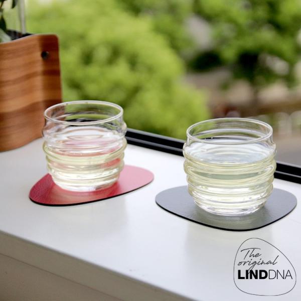 LIND DNA J[u R[X^[ o[Vu Double Cloud 13cm [lR|XΉ 4܂] hDNA Jg[Xg OX}bg Z[ 