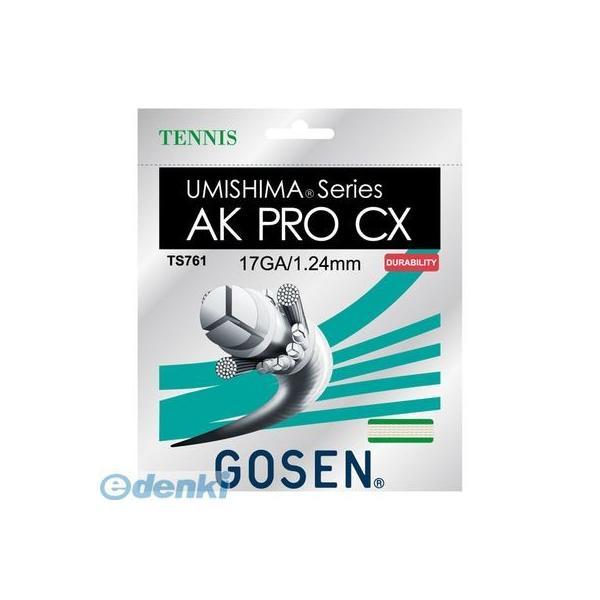 4906365086450］ ゴ−セン TS761 ウミシマAKPROCX17