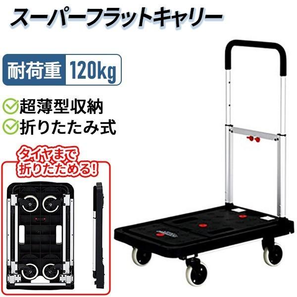 ゼクソン SFK-99 スーパーフラットキャリー SFK99