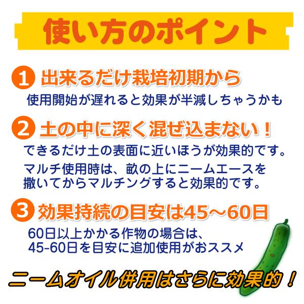 家庭菜園やガーデニングの場合、出来るだけ栽培初期から撒いてあげてください。あまり深く土の中に混ぜ込まないでください。ニームエースは出来るだけ土の表面に近いほうが効果的です。ニームエースをまいてから45日前後で効果が徐々に薄れてきますので、45日おきに少しずつニームエースを追加してあげると効果が持続します。噴霧機でかけるニームオイルや、お手軽なニームスプレーなどと併用するとさらに効果的です。