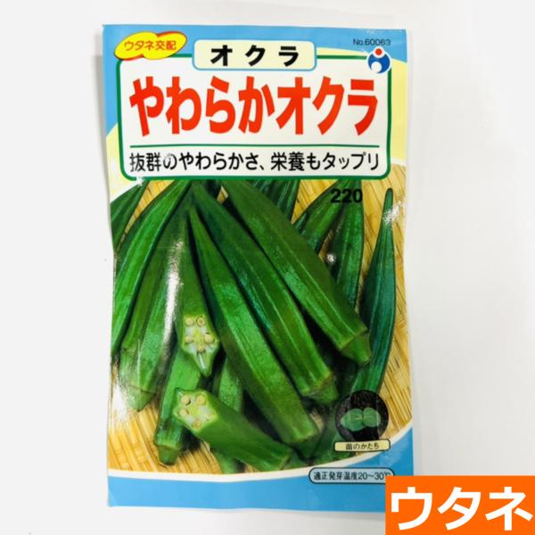 やわらかオクラ 種 ウタネ オクラ 家庭菜園 種 種子 Am1256 プロ農業 家庭菜園のお店 井手商会 通販 Yahoo ショッピング