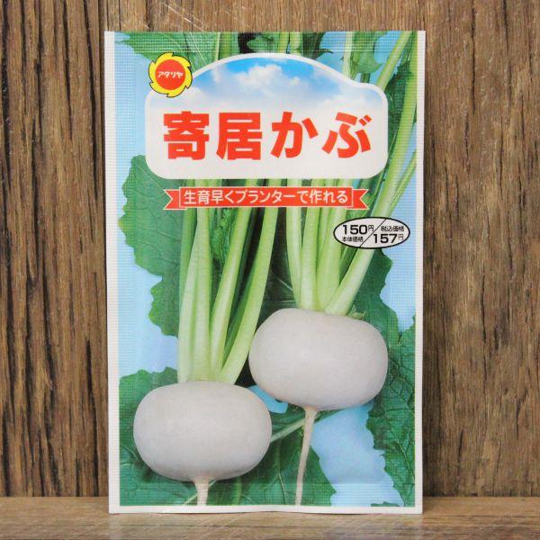 寄居かぶ 種 アタリヤ かぶ 家庭菜園 種 種子 Am1279 井手商会 ヤフー店 通販 Yahoo ショッピング