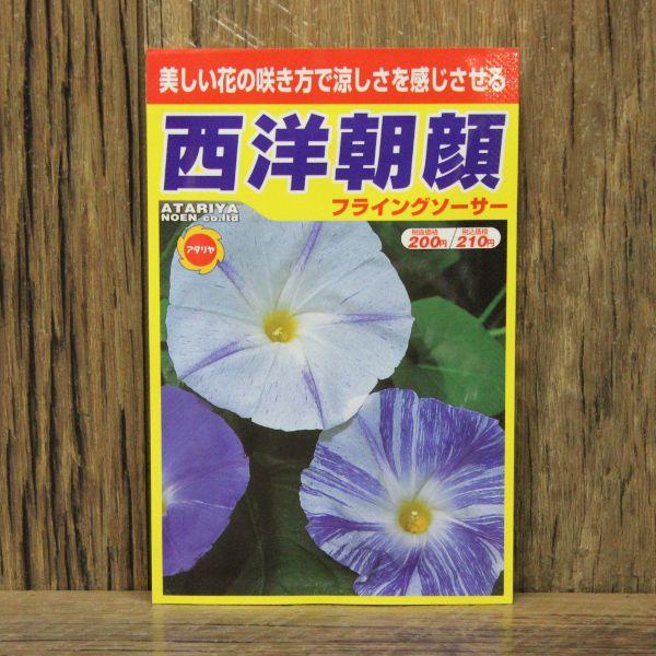 西洋朝顔 フライングソーサー 種 アタリヤ 朝顔 ガーデニング 種 種子 Am12 プロ農業 家庭菜園のお店 井手商会 通販 Yahoo ショッピング