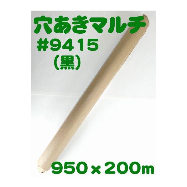 送料無料 穴あきホールマルチ 9415 黒 農業用マルチ Buyee Buyee Japanese Proxy Service Buy From Japan Bot Online