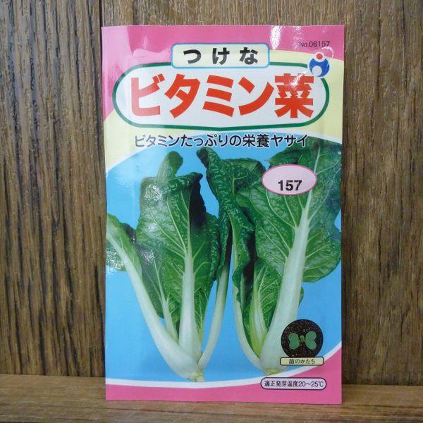 ビタミン菜 種 ウタネ Am701 井手商会 ヤフー店 通販 Yahoo ショッピング