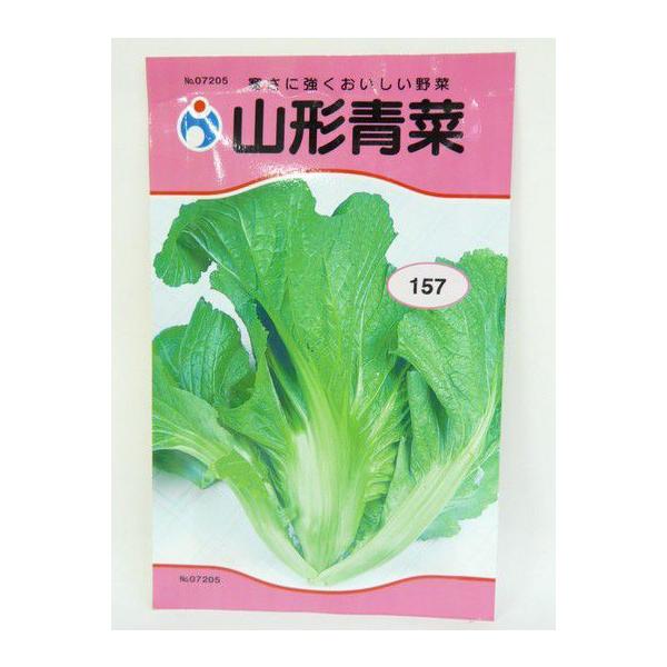 山形青菜（種:ウタネ） 爆買
