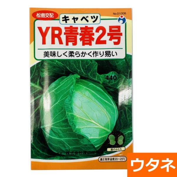 キャベツ ｙｒ青春2号甘藍 種 ウタネ Am719 井手商会 ヤフー店 通販 Yahoo ショッピング