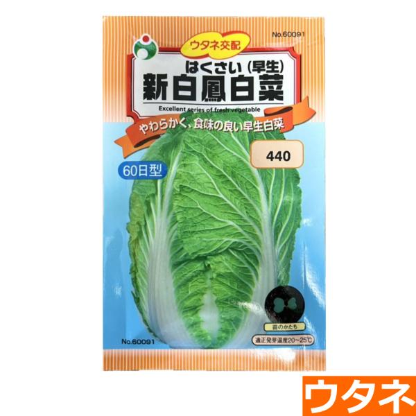 新白鳳白菜(はくさい）（種:ウタネ） 爆買