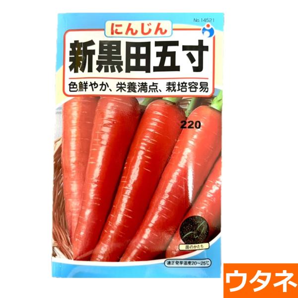 新黒田五寸人参（にんじん） （種:ウタネ） 爆買
