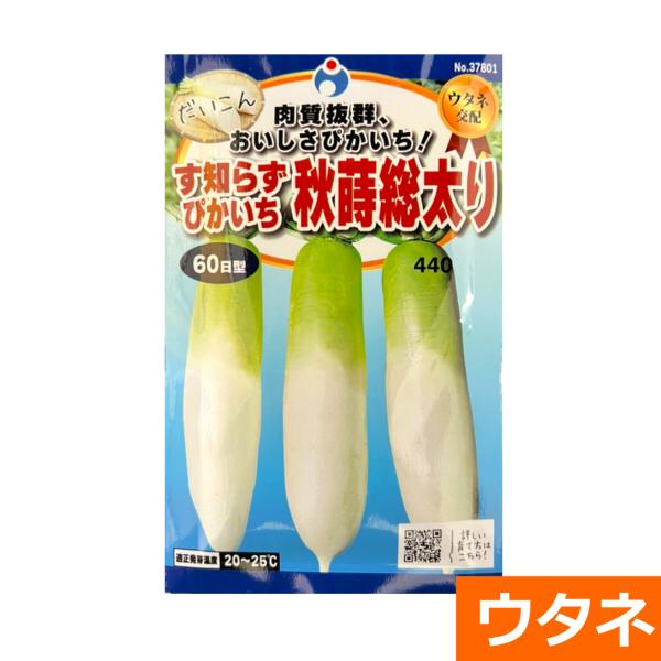 耐病総太り大根（略称さい）（だいこん）　（種:ウタネ） 爆買