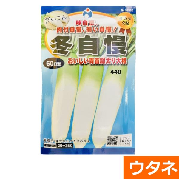 冬自慢大根（だいこん）　（種:ウタネ） 爆買