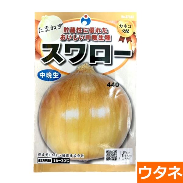 スワロー玉葱（たまねぎ）　（種:ウタネ） 爆買