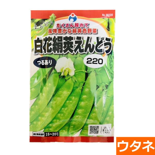 （つるあり）白花絹莢えんどう（種:ウタネ） 爆買