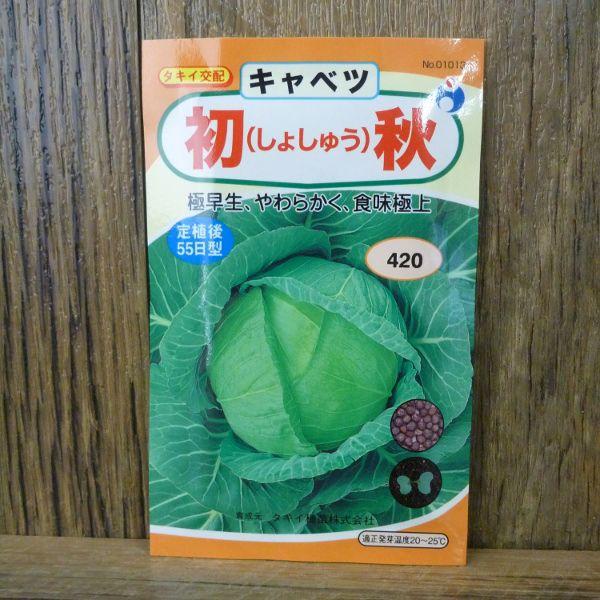 キャベツ 初秋甘藍 略称すすき 種 ウタネ Am774 井手商会 ヤフー店 通販 Yahoo ショッピング