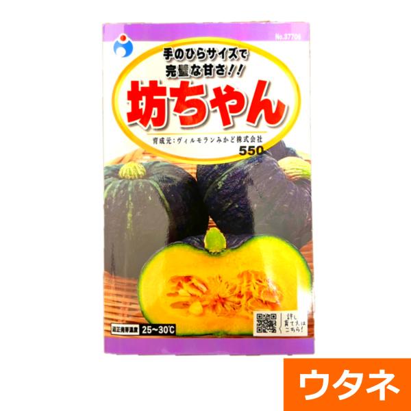 坊ちゃんかぼちゃ 種 ウタネ Am801 井手商会 ヤフー店 通販 Yahoo ショッピング