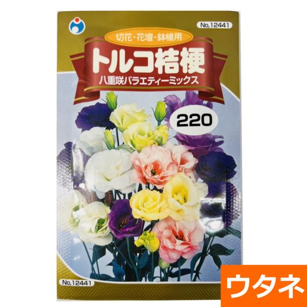 種 キキョウ 農業資材 ガーデニング用品の人気商品 通販 価格比較 価格 Com