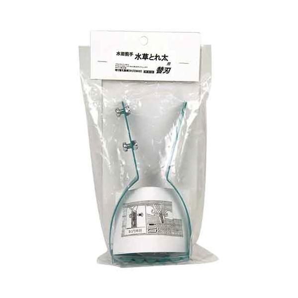 (lCi)hEJEcF@Ƃꑾ@֐n