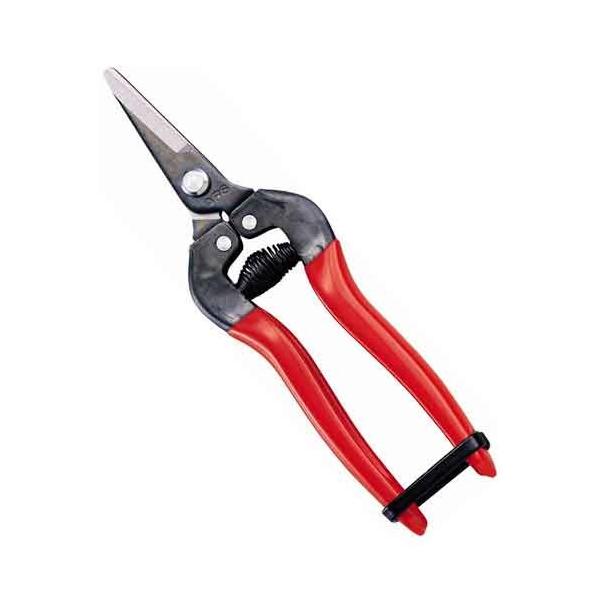 (�l�C���i)�A���X�E�E�����V���[�g�^�C�v