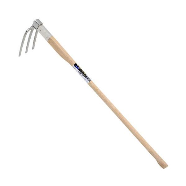 (lCi)()g@EIׂL@XeO{܌L@