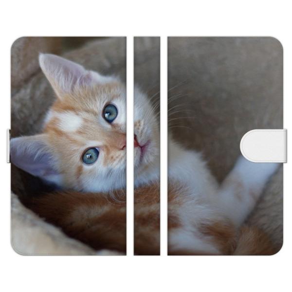 AQUOS �e�� wish5 R9 wish4 sense9 R9 pro R8 pro sense8 sense7 sense6s R8 R7 R6 R5G zero6 wish3 wish2 �蒠 NYANKO E �˂� �L ���� �ǂ��Ԃ�