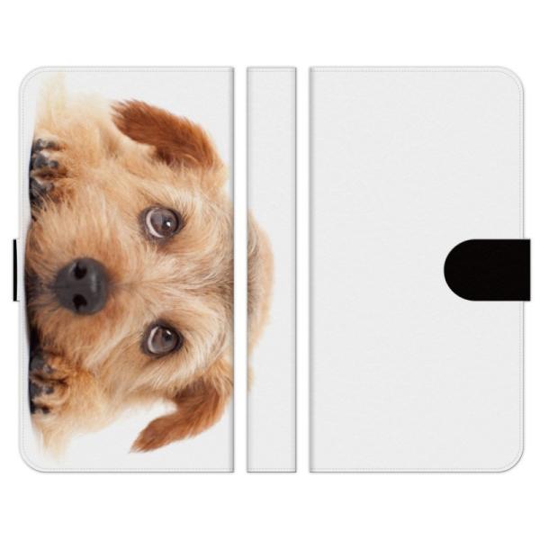 OPPO e Reno14 Reno13 Reno11 A Reno9 A Reno7 Find X3 Pro A54 5G A73 5G X2 A5 2020 R15 Neo 蒠^ P[X WANKO D   ǂԂ