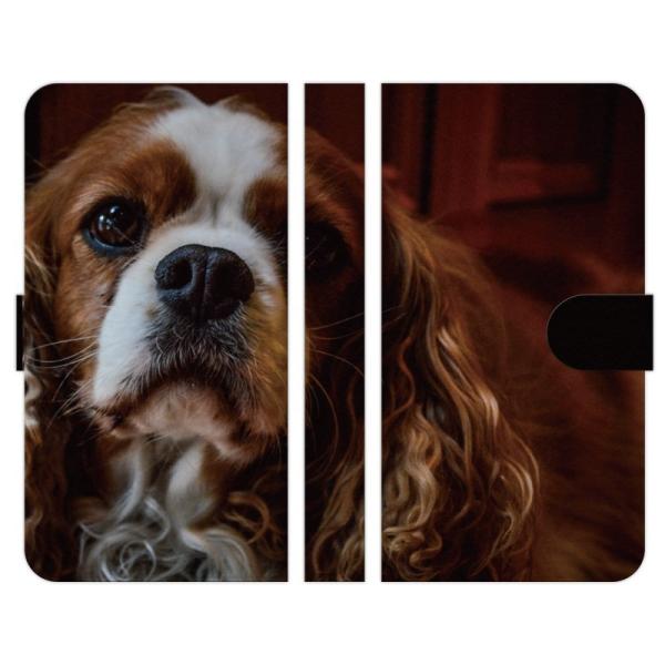 Xiaomi �e�� 14T 14TPro 13T 13TPro 12 11 Lite 5G NE Redmi Note 10 JE Mi 11 Lite 5G 9T 9S �蒠�^ �X�}�z �P�[�X �J�o WANKO B ���� ����