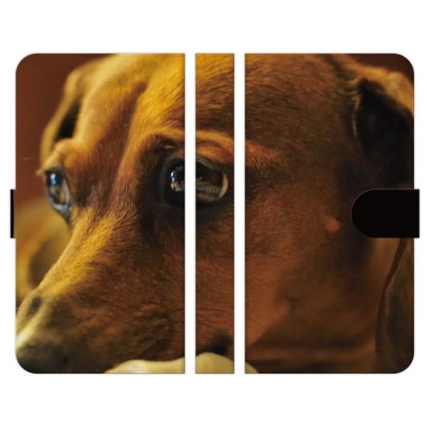 Xiaomi �e�� 14T 14TPro 13T 13TPro 12 11 Lite 5G NE Redmi Note 10 JE Mi 11 Lite 5G 9T 9S �蒠�^ �X�}�z �P�[�X �J�o WANKO I ���� ����