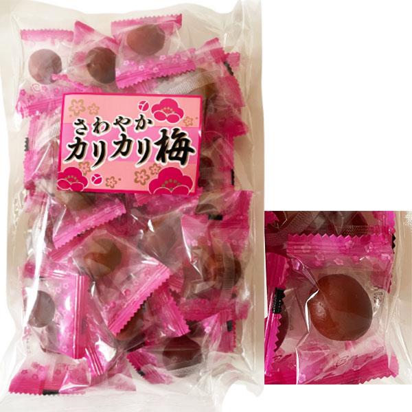 【賞味期限：2026/09/01日の為値下げ！】さわやか　カリカリ梅30個入り（福岡大塩するめ）
