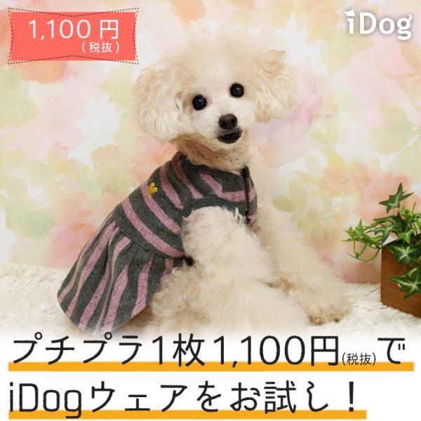 秋冬 犬 服 セール Idog デイリーワンピース アイドッグ メール便ok Buyee Buyee Japanischer Proxy Service Kaufen Sie Aus Japan