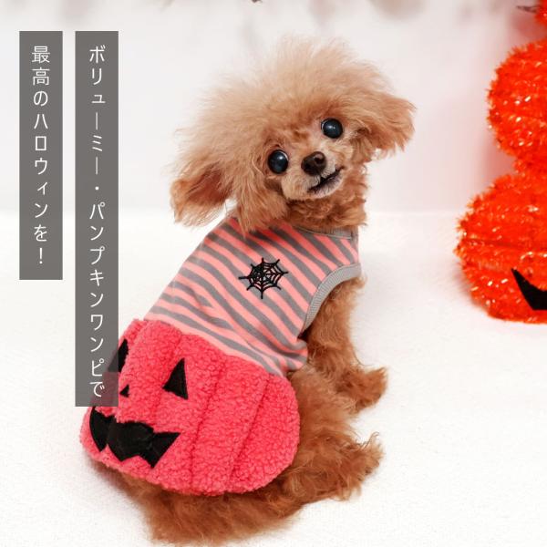 �� �n���E�B�� iDog �p���v�L�������s �A�C�h�b�O ���i�摜2