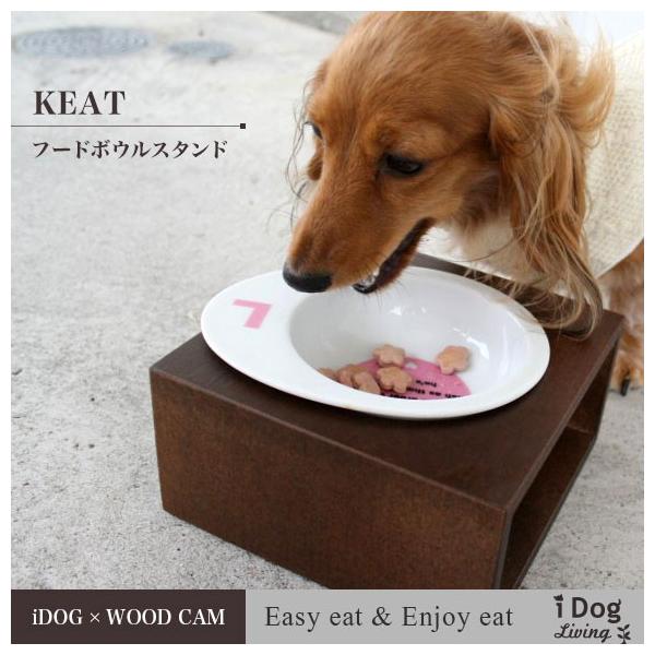 pHpi Keat L[gXNGA 1 STCY t[h{Eʔ bsOs