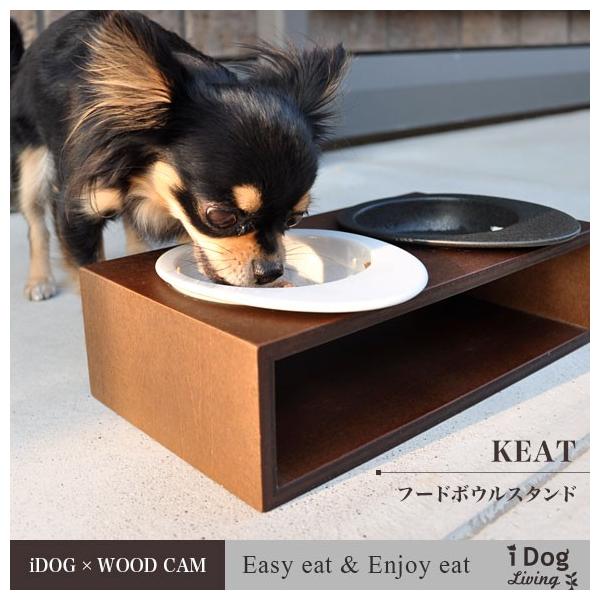 pHpi Keat L[g XNGA2 STCY t[h{Eʔ bsOs