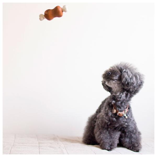 犬用品 Idog ラテックスtoy ほね付お肉 笛無し アイドッグ クーポン利用で10 Off ワンダフルsale Off Buyee Buyee Japanese Proxy Service Buy From Japan Bot Online