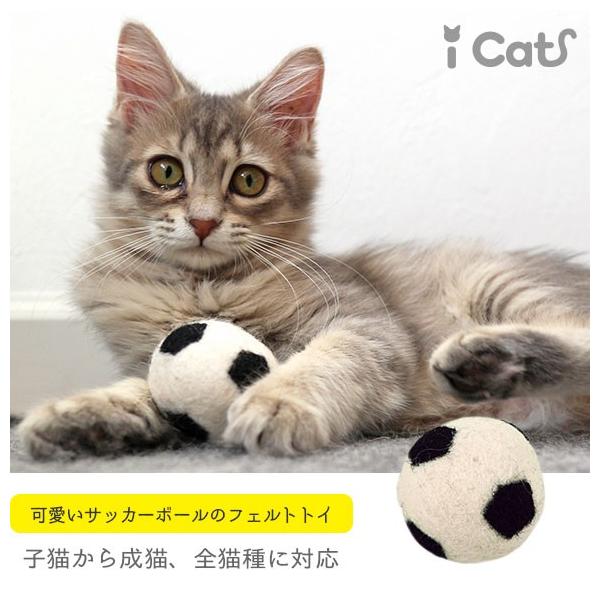 iDog 猫用品 iCaTOY コロコロフェルトTOY サッカーボール : iDog