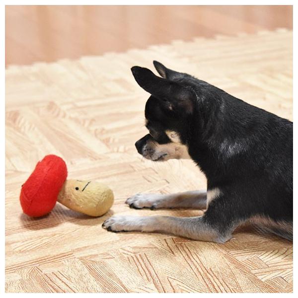 犬用品 犬 おもちゃ Idog アイドッグ ニョキニョキきのこちゃんミニ Buyee Buyee Japanese Proxy Service Buy From Japan Bot Online