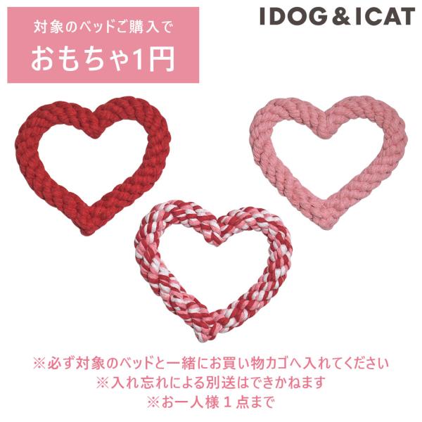 idog_z-043