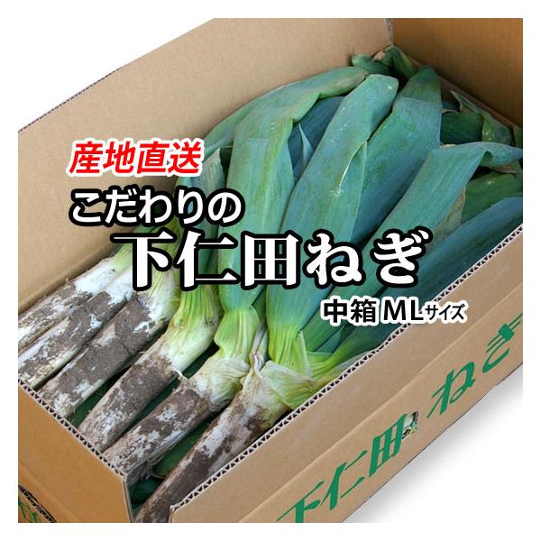 本場 下仁田ネギ ストア 極太 4kg☓2箱 下仁田ネギ【2L～3Lサイズ 4kg