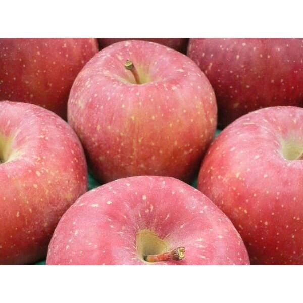 ΕApɍœKȉւwTӂ񂲁xyY Tӂ PO(22`36)z