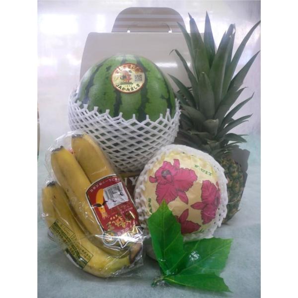 贈って喜ばれる果物詰め合わせ！いづみ屋のフルーツアレンジメントで真心をお届けしませんか！お祝い・お誕生日ギフトやお見舞い・ゴルフの景品等にも大人気です！◆内　 　 容◆フルーツ詰め合わせセット 手さげボックスfa02◆商品内容◆※写真の詰め...