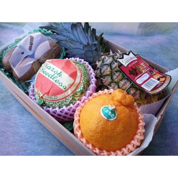 贈って喜ばれる果物詰め合わせ！いづみ屋のフルーツアレンジメントで真心をお届けしませんか！お祝い・お誕生日ギフトやお見舞い・ゴルフの景品等にも大人気です！◆内　 　 容◆フルーツ詰め合わせセット 手さげボックスfa03◆商品内容◆※写真の詰め...