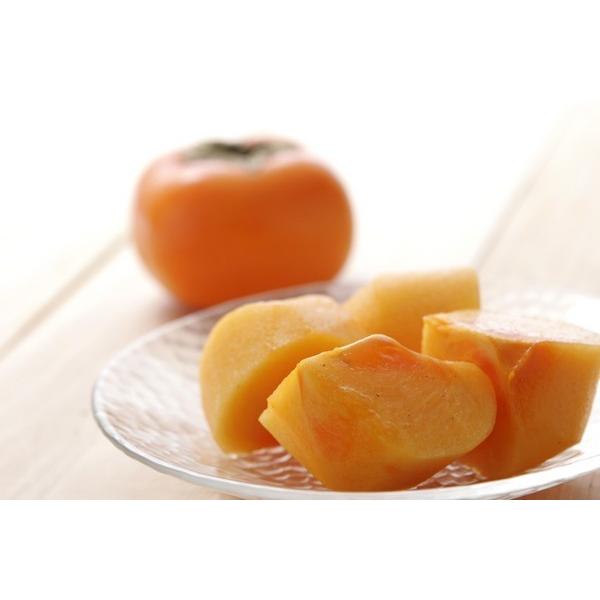 ፑȂł͂̊nƓ`̏ĒaIyY Â݂炸` 10`9kgO 2L`4Li30`43Ojz