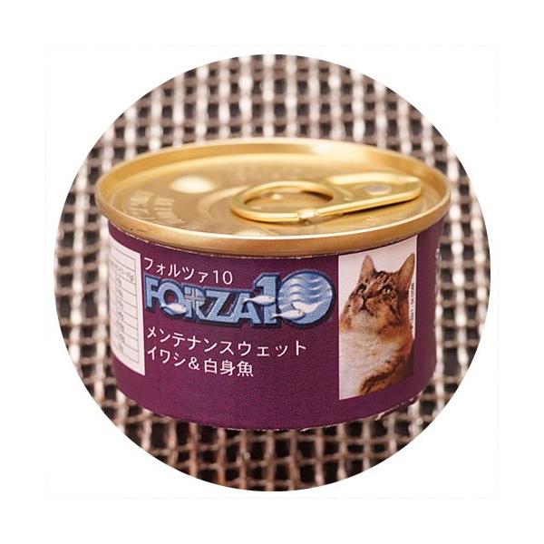 tHc@10 eiXEFbg CVg[85g] Wd t[N^Cv  FORZA10 cat visions