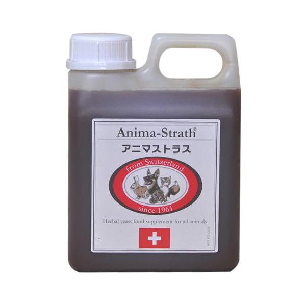 p Tvg Aj}XgX t̃^Cv [1L] VR100% Y  F Aj}XgX Anima Strath  dog visions