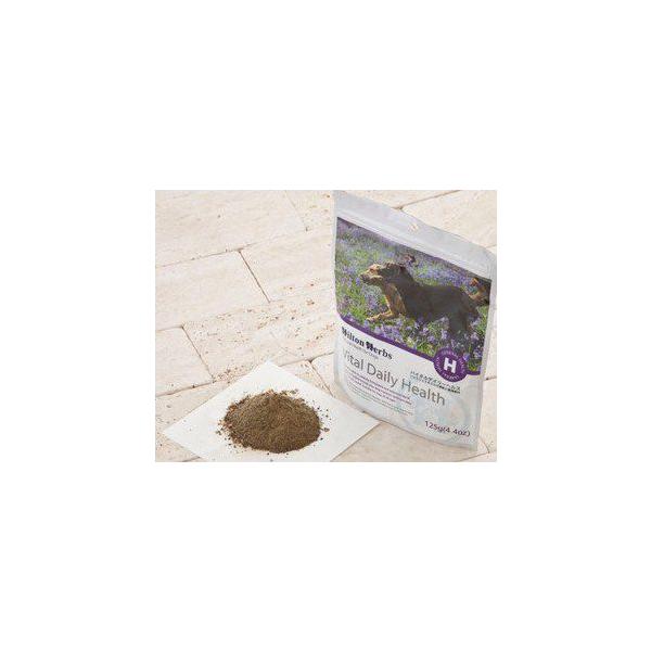 y񂹏iz p Tvg Hilton Herbs qgn[u oC^fC[wX(Vital Daily Health)^Cv[125g]VR100% dog visions