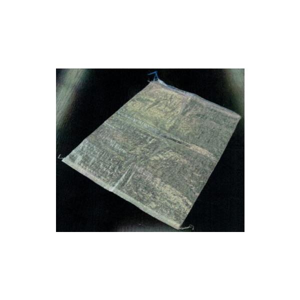 PPNAŷ 200 ǧyX UVܓ