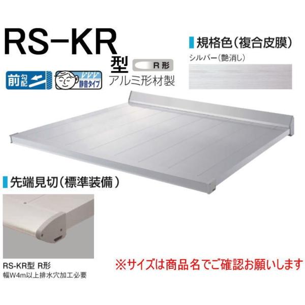 DAIKEN ダイケン 庇 RSバイザー RS-KR型 D600×W1200 シルバー (ステー無)