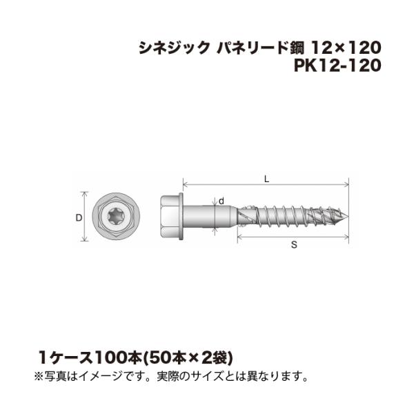 (1ケース2袋) シネジック パネリード鋼 PK12-120 50本